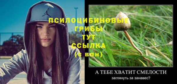ешки Абаза