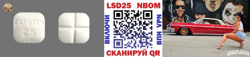 LSD-25 экстази ecstasy  Приозерск 